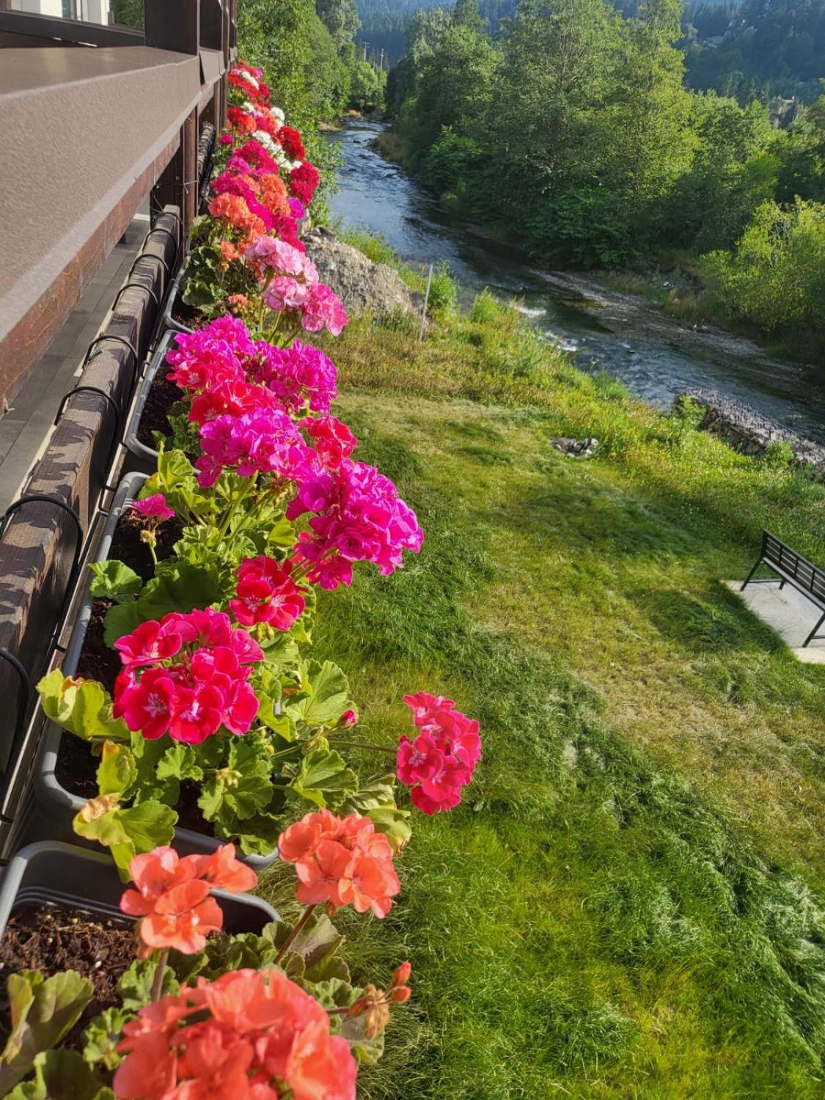 Apartmán Cross Caraiman View 1 Buşteni Exteriér fotografie